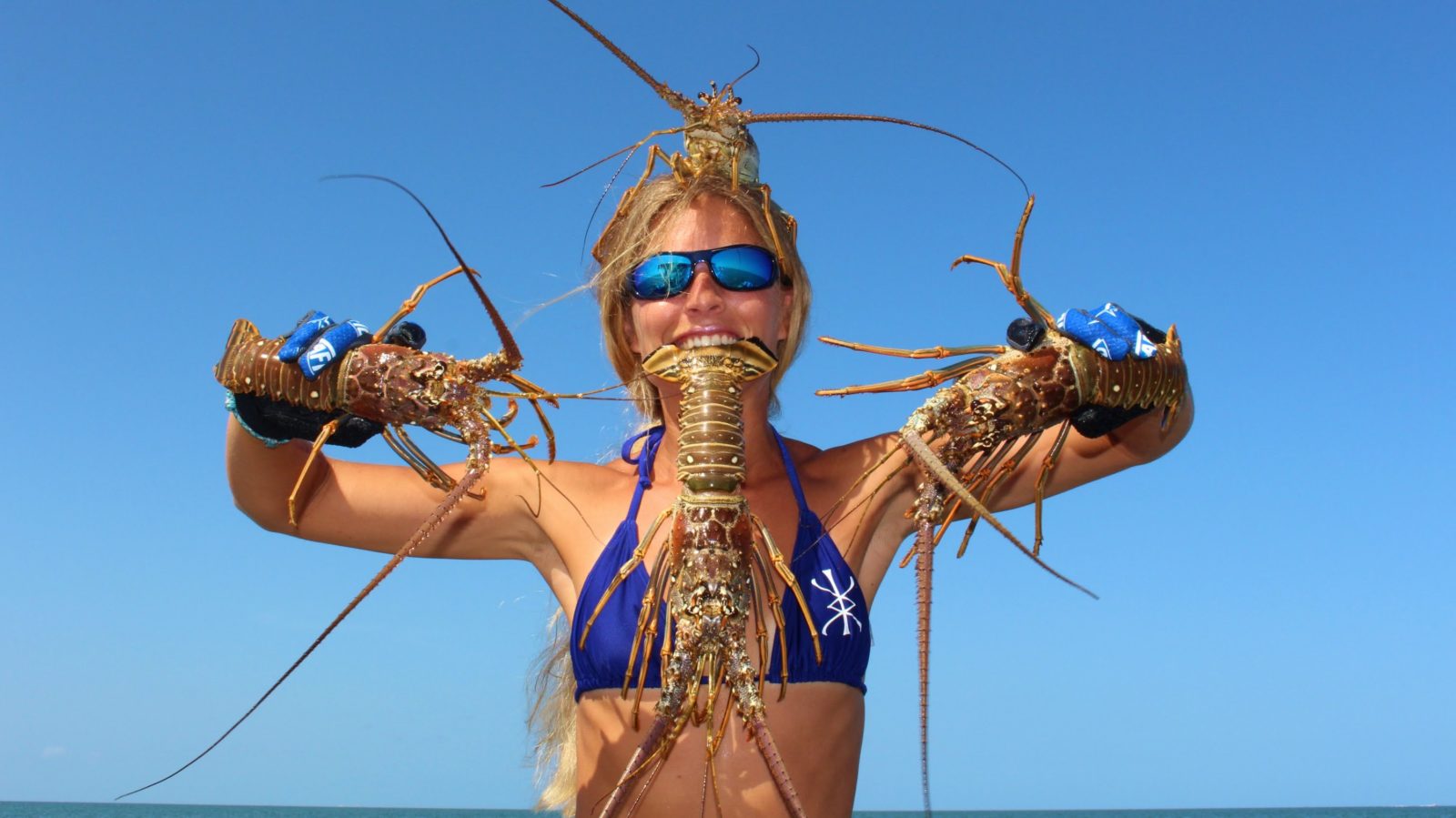 best hooks for live bait fishing Fishing Rigs: Weakfish - Live Bait Rig