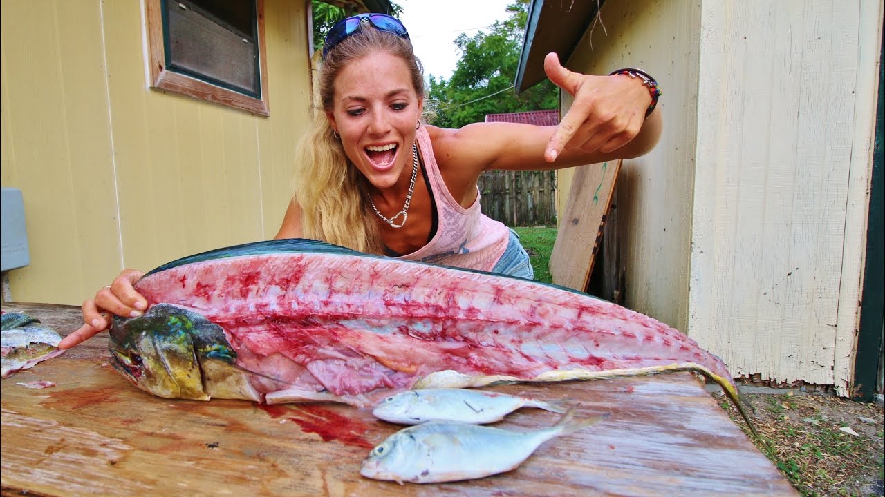 How To Fillet a Mahi Mahi & See What I Found in the Belly! Darcizzle