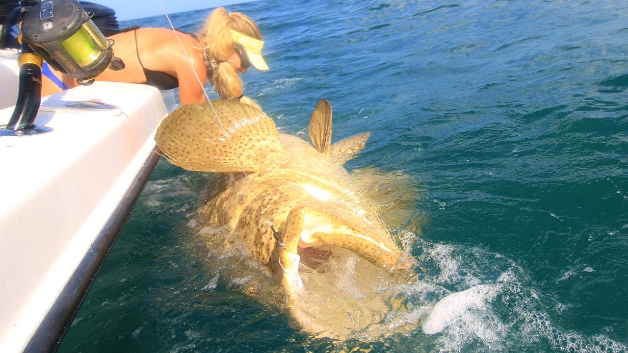 Florida Keys Offshore Saltwater Fishing GoPro Video ft