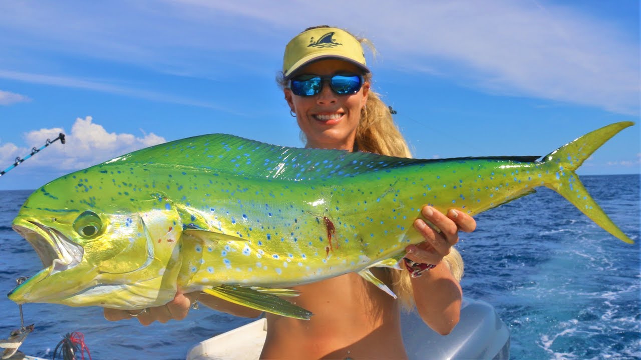 Catching the MOST BEAUTIFUL Fish in the Deep Sea! Darcizzle Offshore