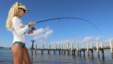 Darcizzle Offshore Photos of the Week - Darcizzle Offshore